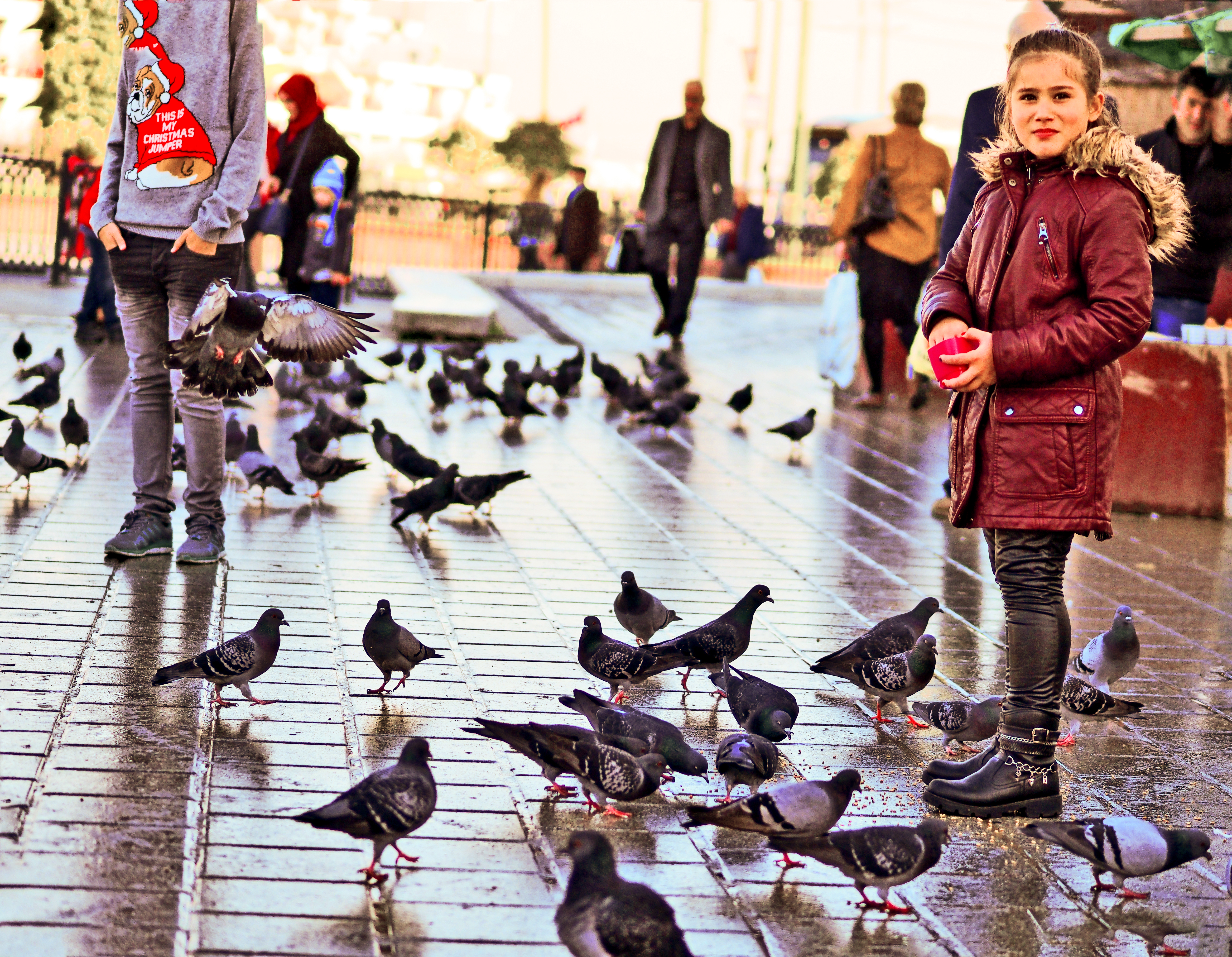 Pigeons and children